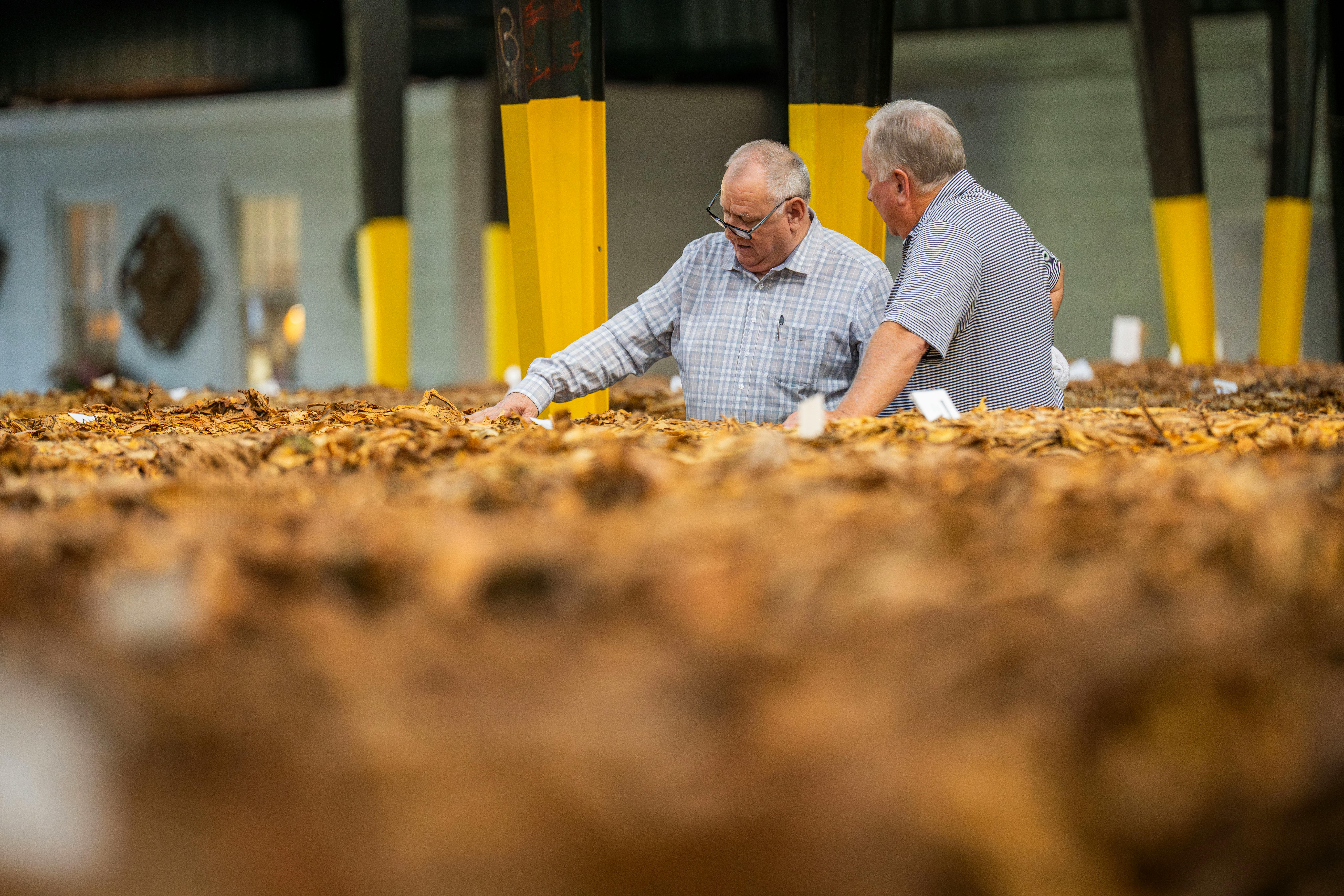 Sultan House team member sitting at desk
